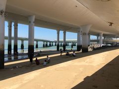 -演武大桥观景平台