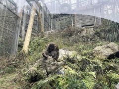 -黔灵山公园