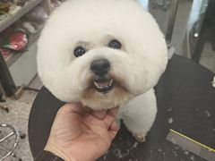 -宠物家(长阳店)