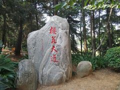 -武汉大学-樱园