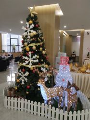 -宝生月子中心·独栋独院式(南山店)