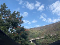 -西双版纳原始森林公园