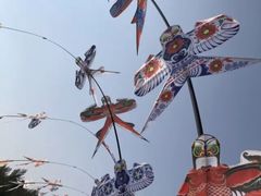 -汕头中海黄金海岸水上乐园