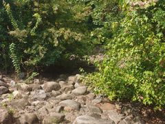 -白塘生态植物园