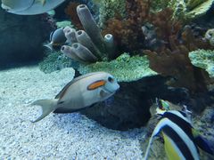 -欢乐海岸海洋奇梦馆