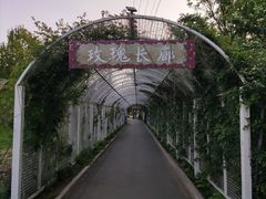 -太阳宫公园