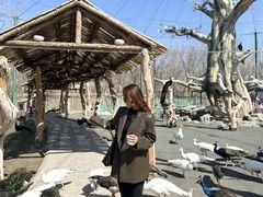 -水上乐园·欢乐世界