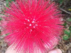 -西涌国际滨海旅游区