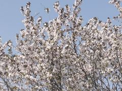 -太原凯宾斯基饭店