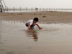 -八沟羊汤(河北大街店)