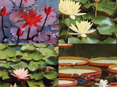 -国家植物园南园