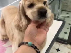 -全心全意动物诊疗中心医院(北苑店)