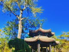 -承德避暑山庄景区