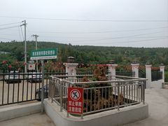 -郑喜旺烧烤(新密总店)