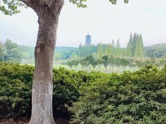 -宜兴龙背山森林公园