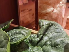 -巴奴毛肚火锅(京西大悦城店)