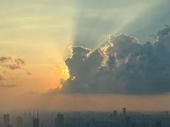 -上海柏悦酒店