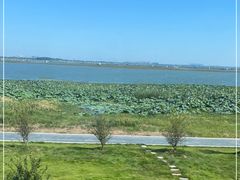 -七的湖·晚芳亭·阳澄湖农家菜·大闸蟹(莲花岛店)