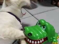 -皆道拌麻辣烫·麻辣拌