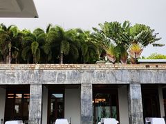 -日落吧·海景咖啡厅·餐酒吧·鸡尾酒·下午茶·乐队表演·浪漫夕阳·三亚文华东方酒店