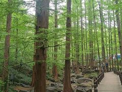 -国家植物园南园