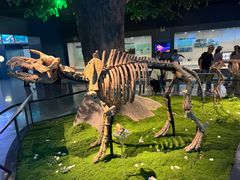 -安徽省地质博物馆