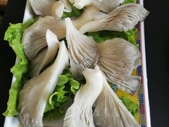 -芦月轩羊蝎子(北蜂窝店)