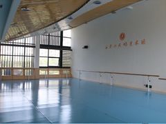 -西安小天鹅艺术团(曲江Alice店)