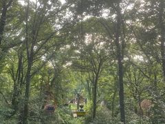 -WeLope紫金山探险公园