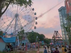 -花博汇(知音花月夜)