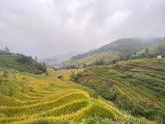 -紫鹊界梯田景区