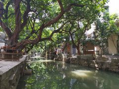 -小洲村
