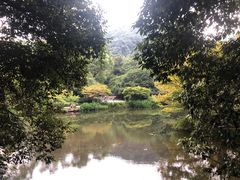-东航云逸酒店(九溪烟树店)