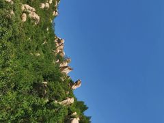 -凤凰山国家森林公园