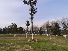 -洨河生态公园