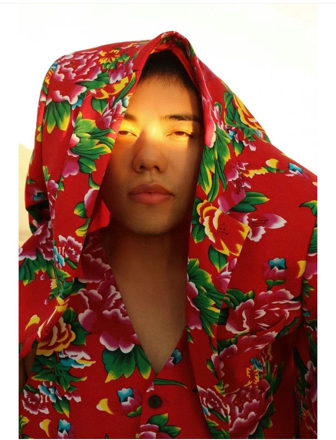 东北大花的高级感