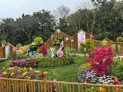 -上海共青森林公园