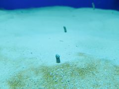 -长春中泰海洋世界