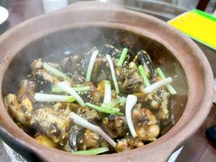 -红星光发煲仔饭(文海店)
