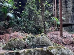 -梭布垭石林景区