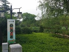 -白马涧龙池景区