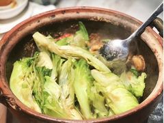 啫啫生菜煲-陶陶居酒家(海岸城店)
