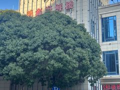 -鸿鑫海鲜楼(福辉店)