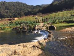 -广州市石门国家森林公园