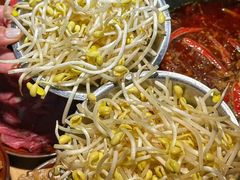 -阳阳老火锅(小南门店)