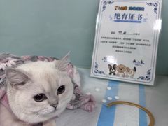 -达爱动物医院·犬猫分区·CT·复杂眼科(远洋山水分院)