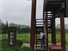 -长田漾湿地公园
