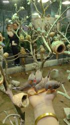 -Zoolung Zoolung动物主题公园(海信广场店)