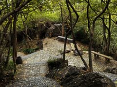 -紫金山山顶公园