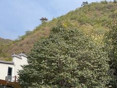 -荷塘味道(水长城店)